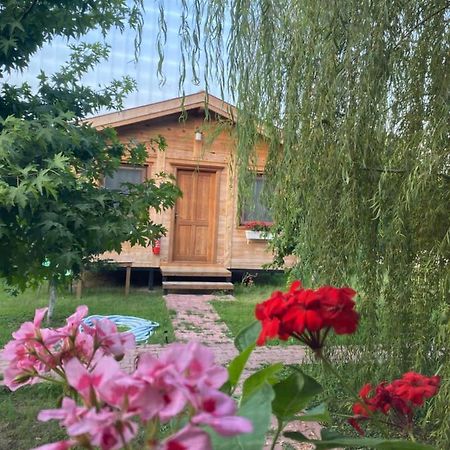 Inlice Uenzile Bungalow Inlice Kamp 费特希耶 外观 照片