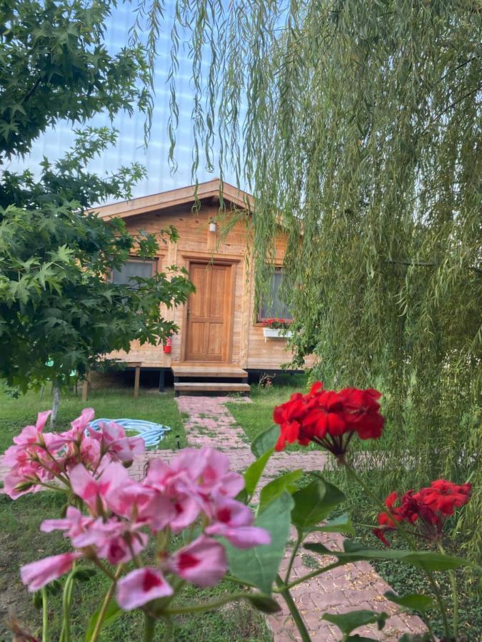 Inlice Uenzile Bungalow Inlice Kamp 费特希耶 外观 照片