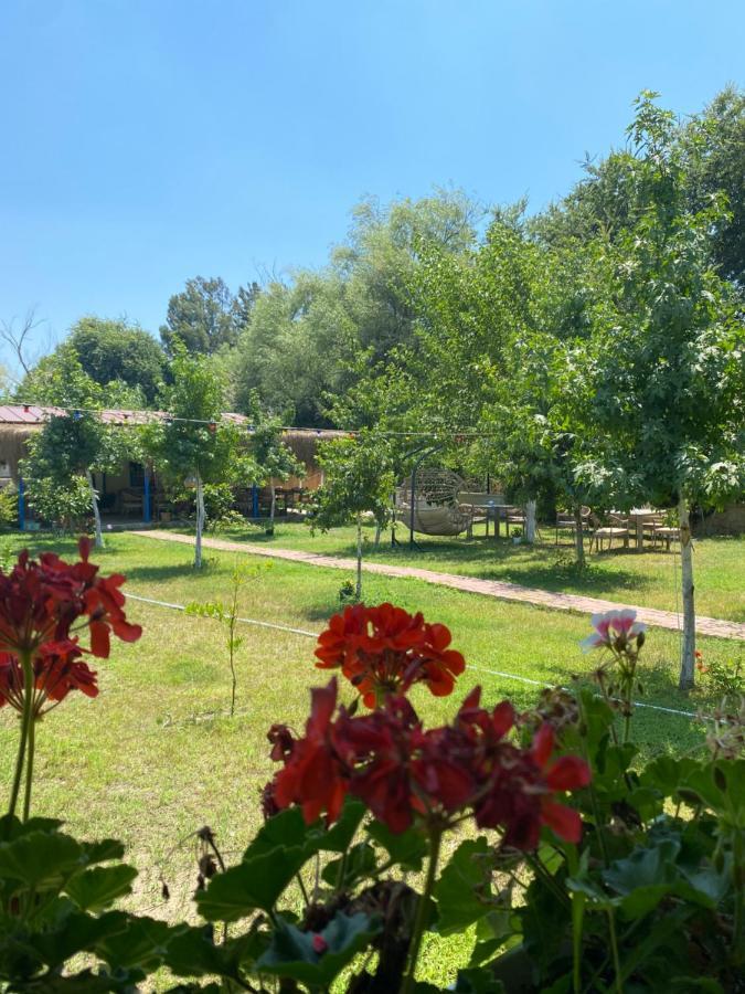 Inlice Uenzile Bungalow Inlice Kamp 费特希耶 外观 照片