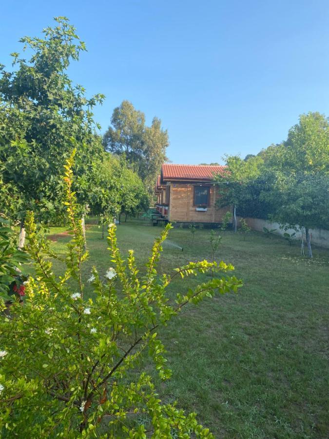 Inlice Uenzile Bungalow Inlice Kamp 费特希耶 外观 照片