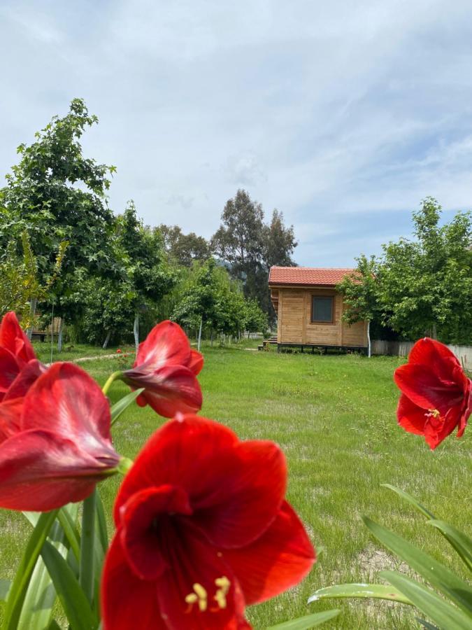 Inlice Uenzile Bungalow Inlice Kamp 费特希耶 外观 照片