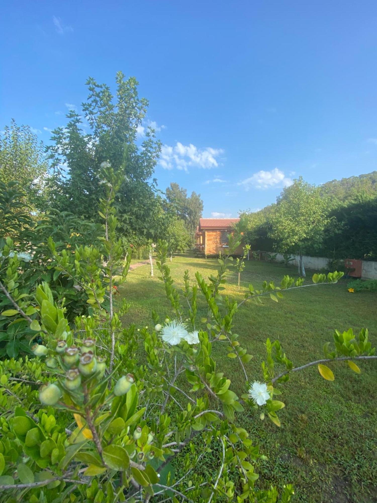 Inlice Uenzile Bungalow Inlice Kamp 费特希耶 外观 照片